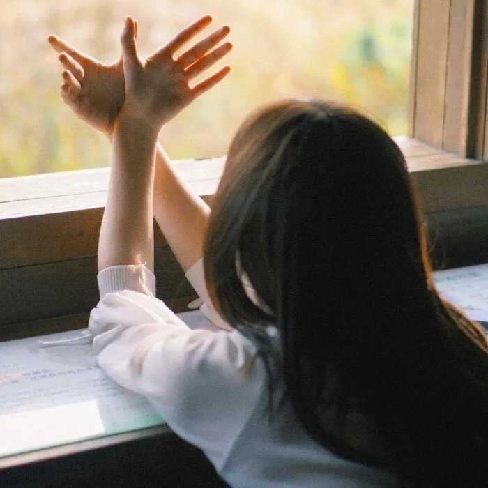 沙罗曼蛇：冥想的帕欧拉